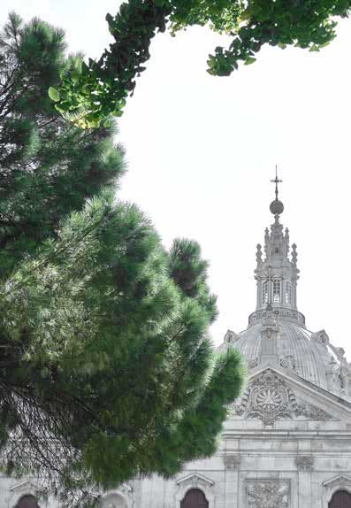 Campo de Ourique