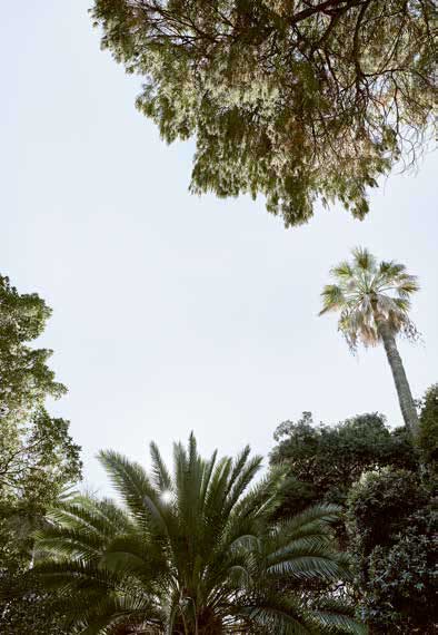 Campo de Ourique